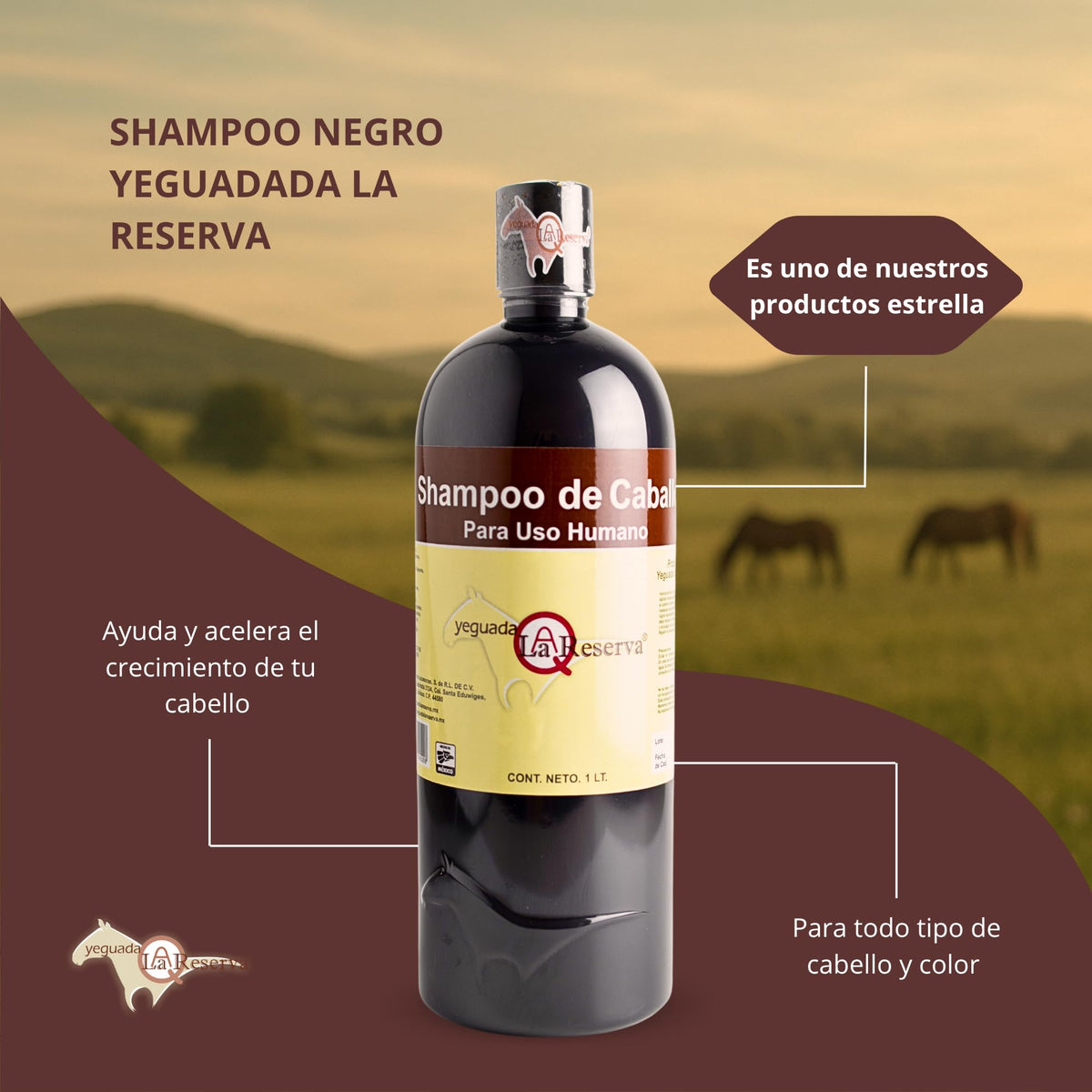 Shampoo Yeguada la Reserva producto original/El shampoo de caballo de uso humano anticaida y crecimiento del cabello