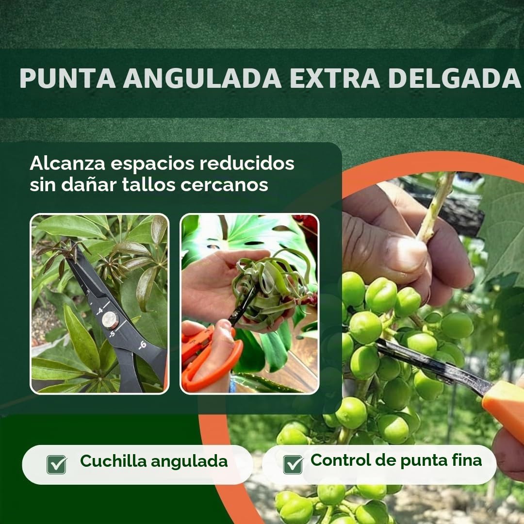Saboten Tijeras de Cosecha Automáticas 6.3" – Hoja Curva de Punta Fina, Acción Magnética sin Resorte, Acero Inoxidable con Flúor, Mango Ergonómico – forest Originals, Hechas en Japón