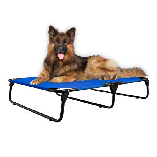 Cama Elevada para Perro PEGASO Azul Rey Transpirable Extra Grande