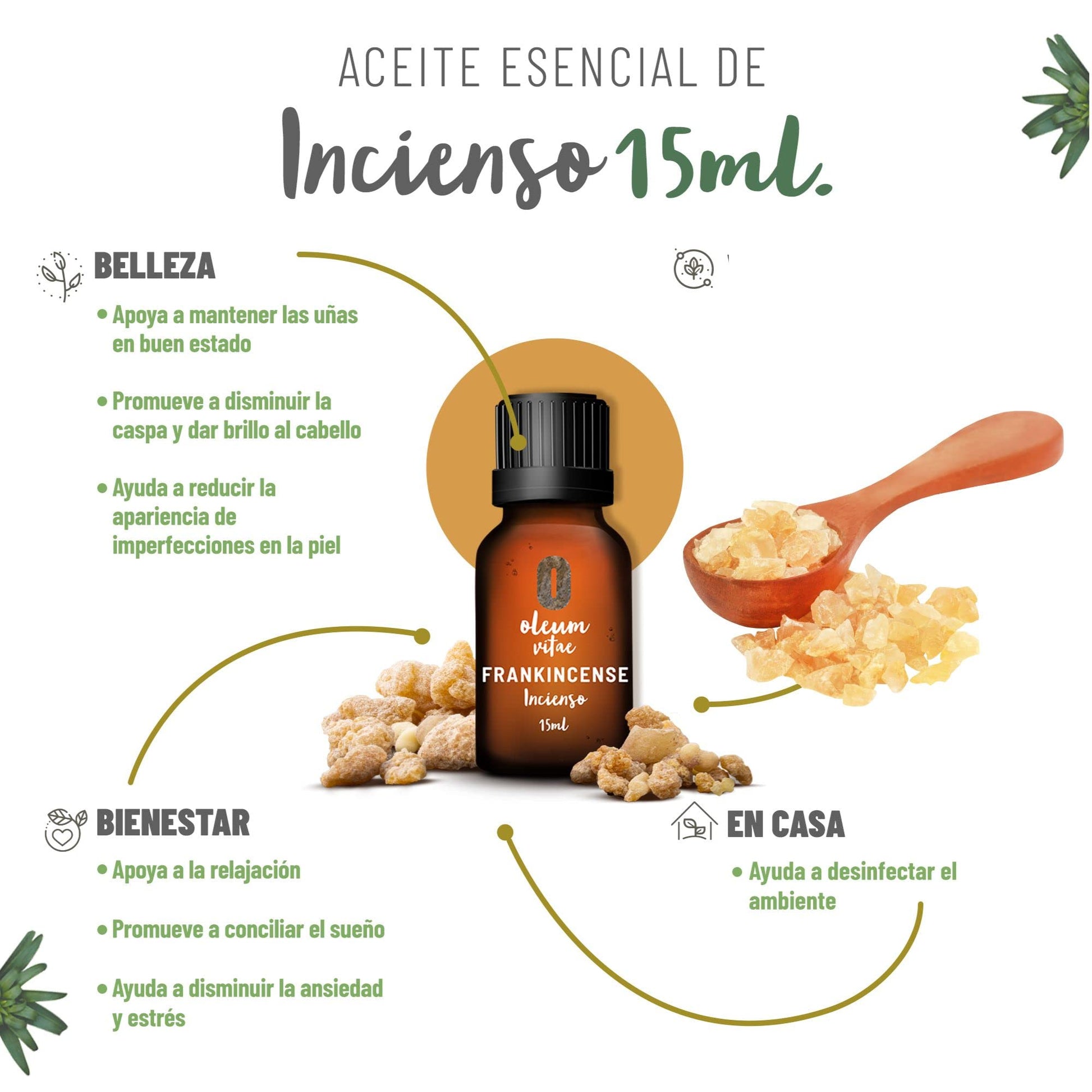 Aceite Esencial OLEUM VITAE Incienso 100% Puro y Orgánico Certificado USDA 15ml
