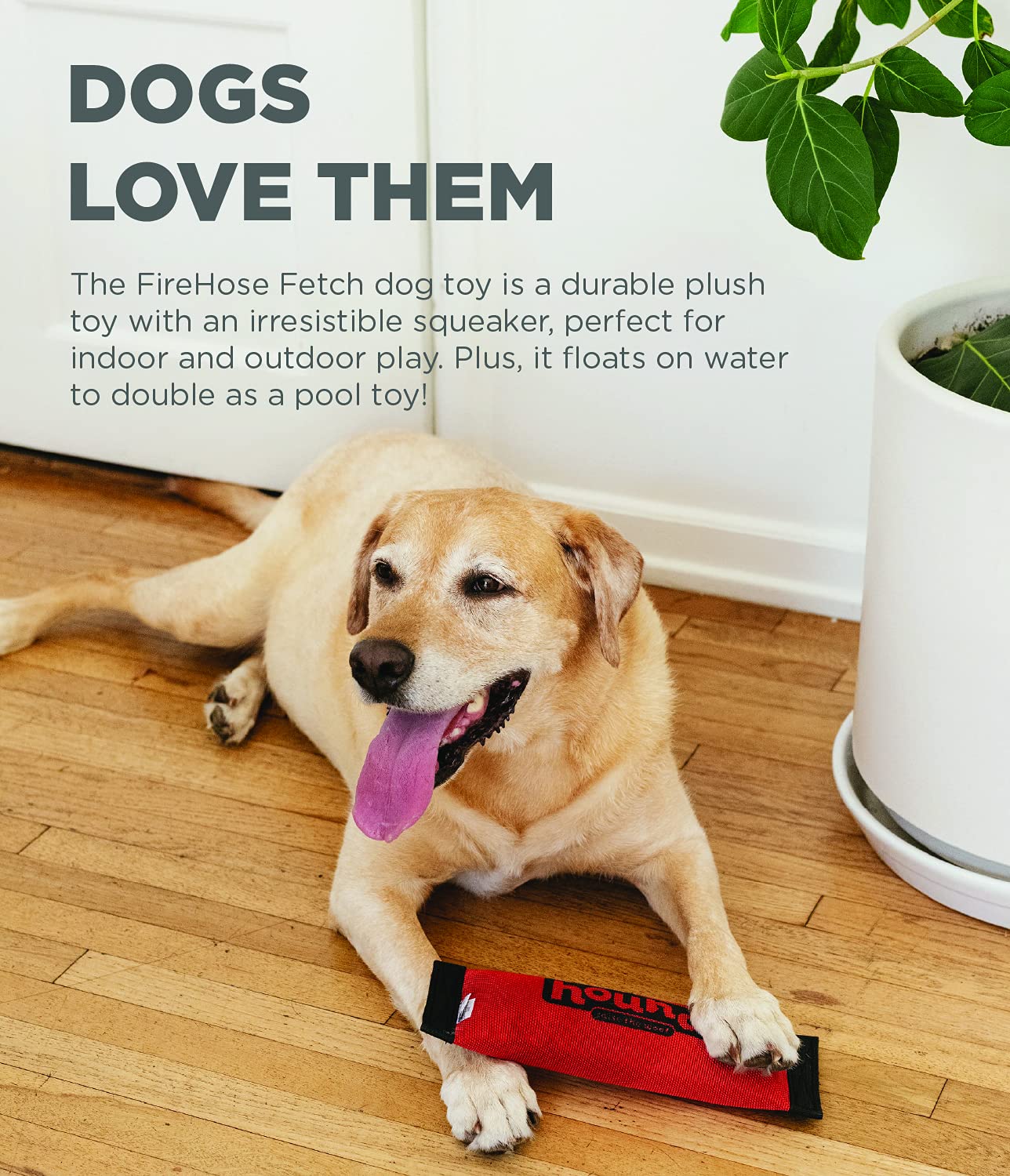 Juguete para Perros Outward Hound Mediano Firehose Fetch