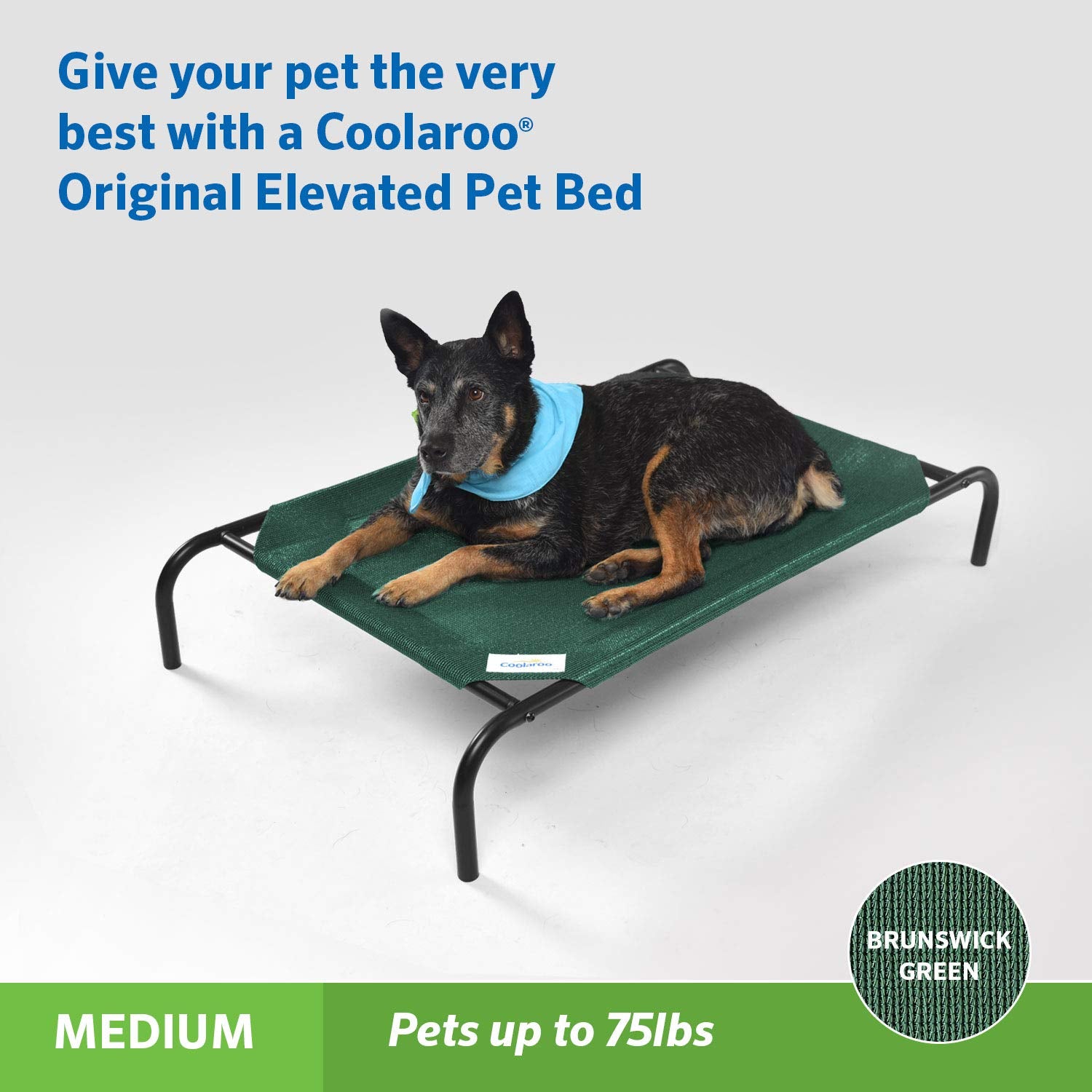 Coolaroo - Cama elevada para mascotas Gale Pacific con tejido de punto, color verde, tamaño mediano