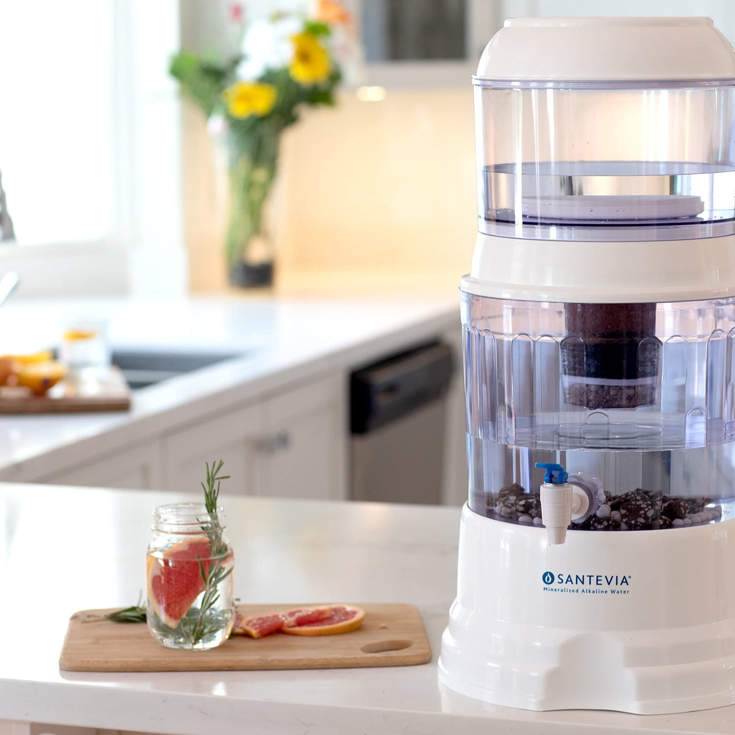 Santevia Water Systems Ceramic Pre-Filter