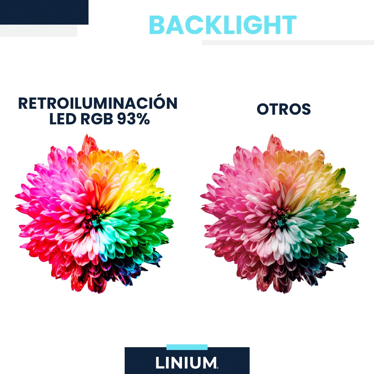 LINIUM - Monitor HD LED 20” | Resolución 1660x900, HDMI/VGA, 60Hz, Estabilización de Negro, Compacto y Funcional para Oficina u Hogar