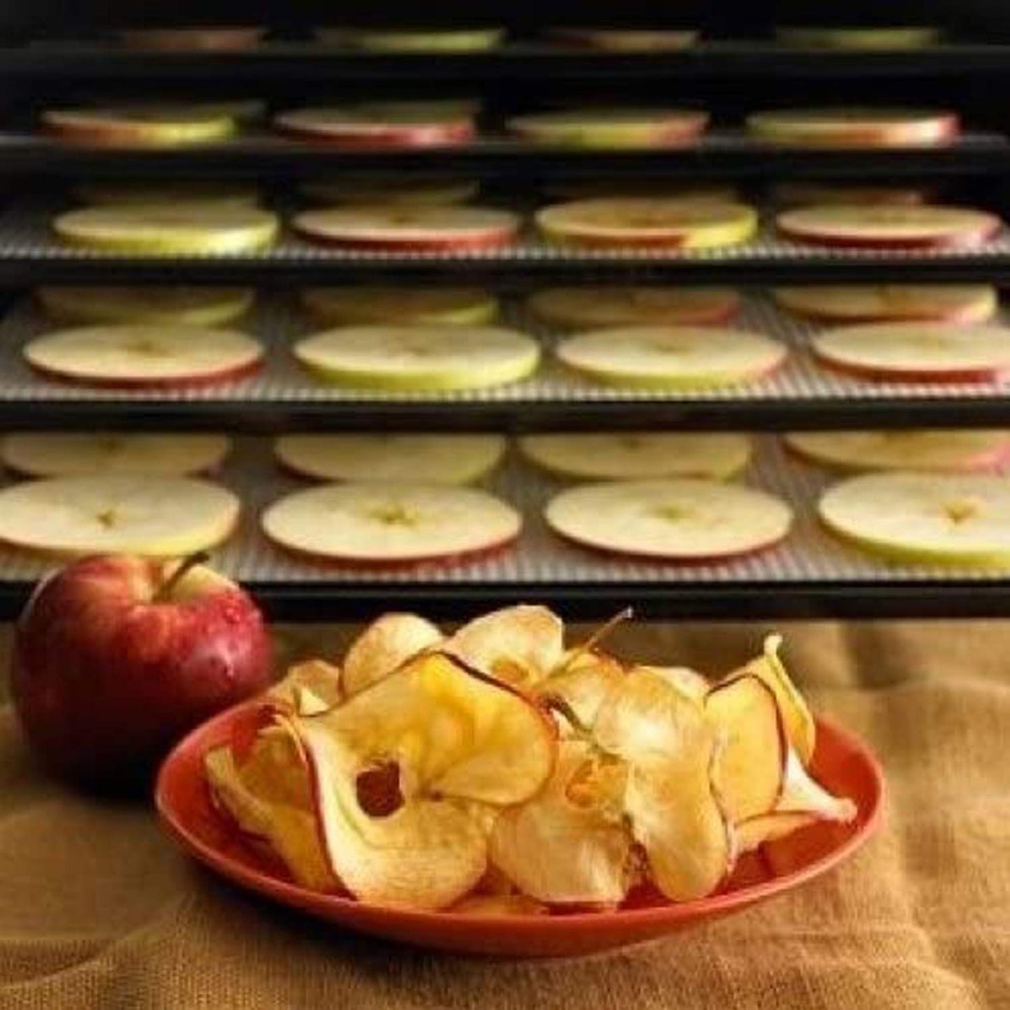 Globalis - Superior , Pack de 9 superorganización no-stick, Dupont Teflon re-utilizable deshidratador de comida hojas para Excalibur 2500, 2900, 3500, 3900 ó 3926 T. Medidas de hoja 35,56 cm x 35,56 cm se ajusta Excalibur 5 Y 9 bandejas.