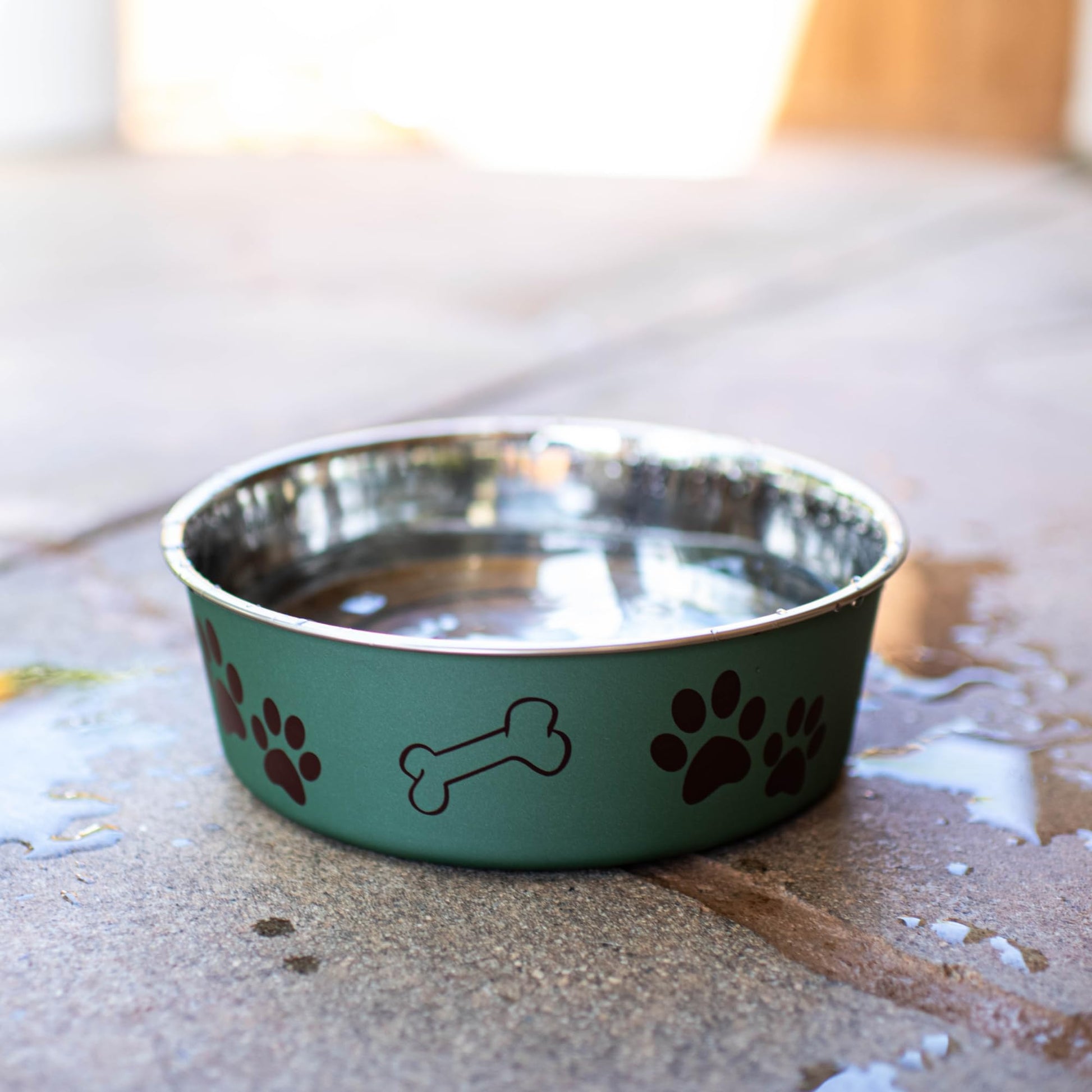 Loving Pets Metallic Bella Bowl Dog Bowl, Medium, 1 Quart, Artichoke