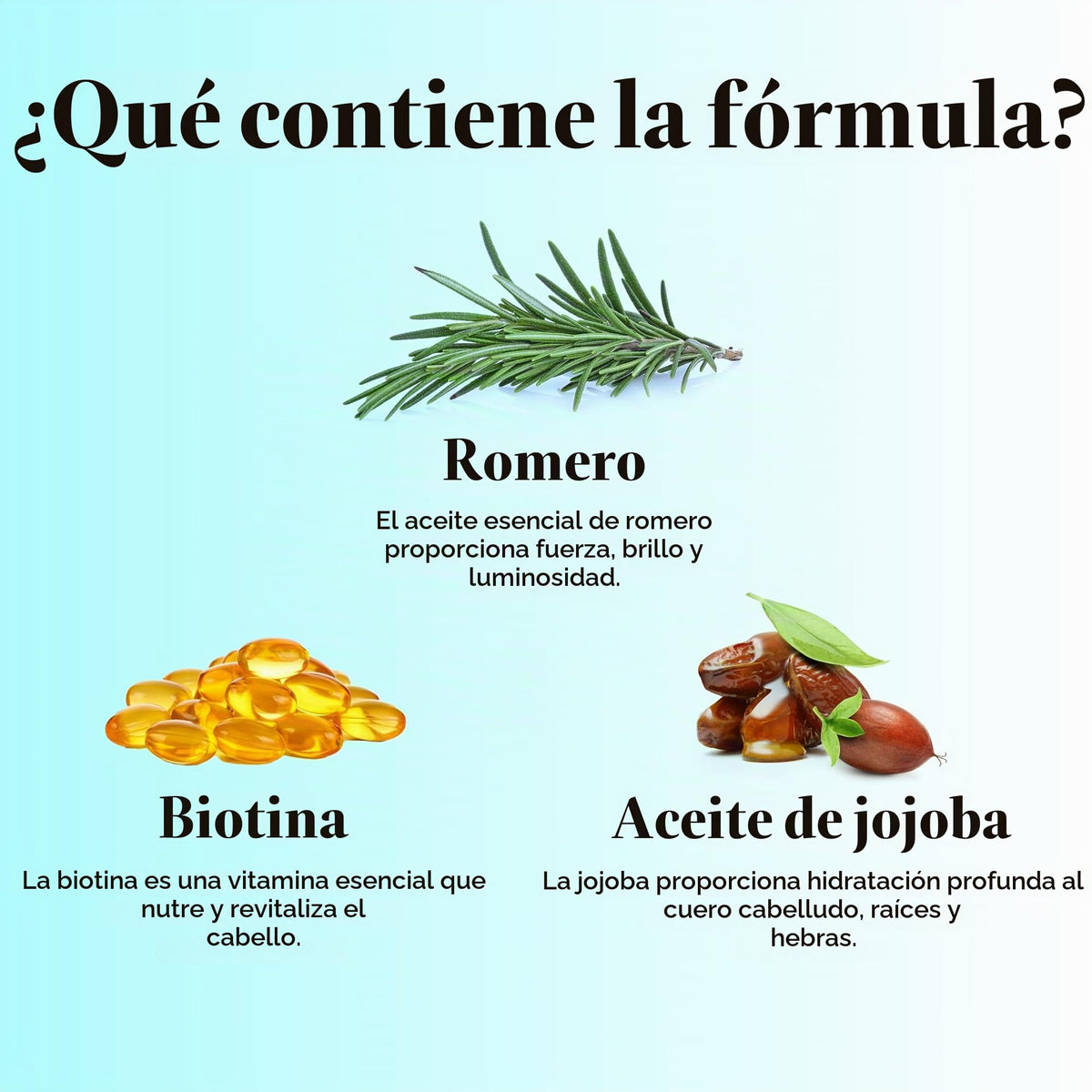 Champú y Acondicionador Biotin Jojoba Argan Sea Buckthorn para Cabello Más Grueso y Fuerte