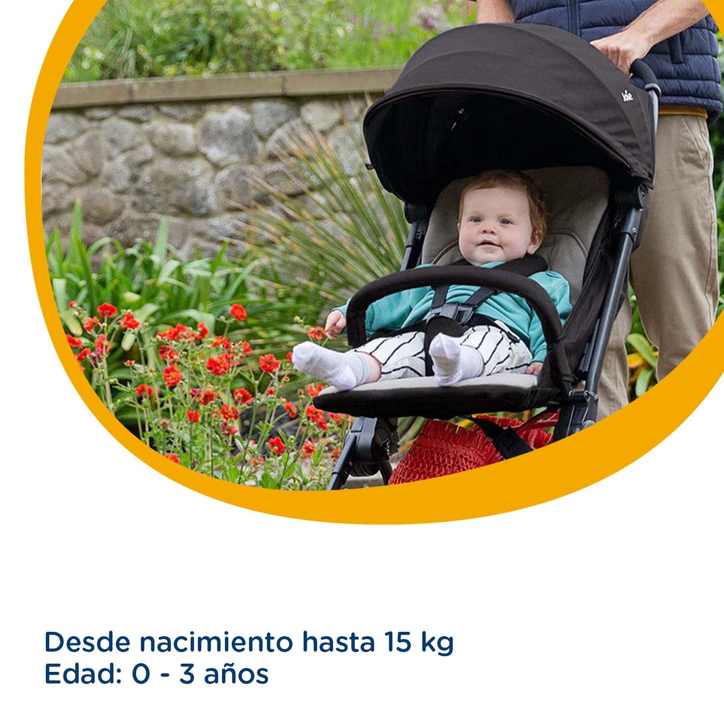 Joie Carriola para Bebe Pact con Silla Portabebés | Carriola de Baston Ligera con Cinturón de Seguridad de 5 Puntos | Carriola de Viaje con Toldo Repelente al Agua FPS 50+ | Carriola Ultra Ligera
