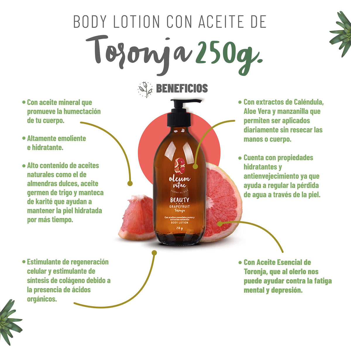 Kit Cuidado de la Piel Oleum Vitae Toronja Hidratación Profunda