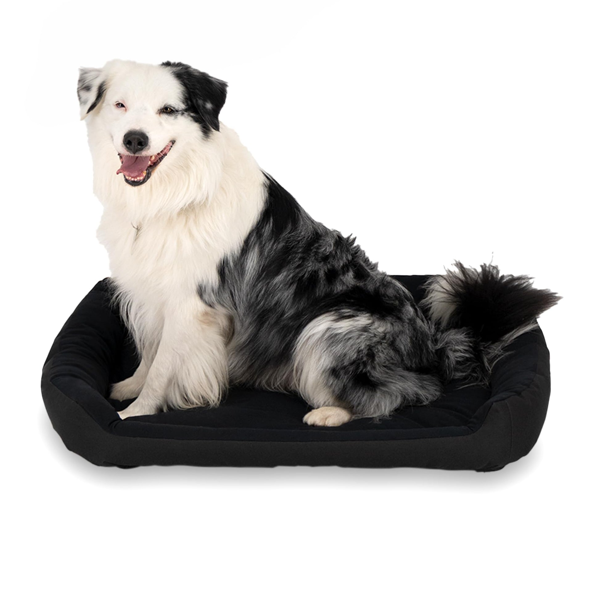 Cama para Perro HILLS Negra Resistente y Confortable