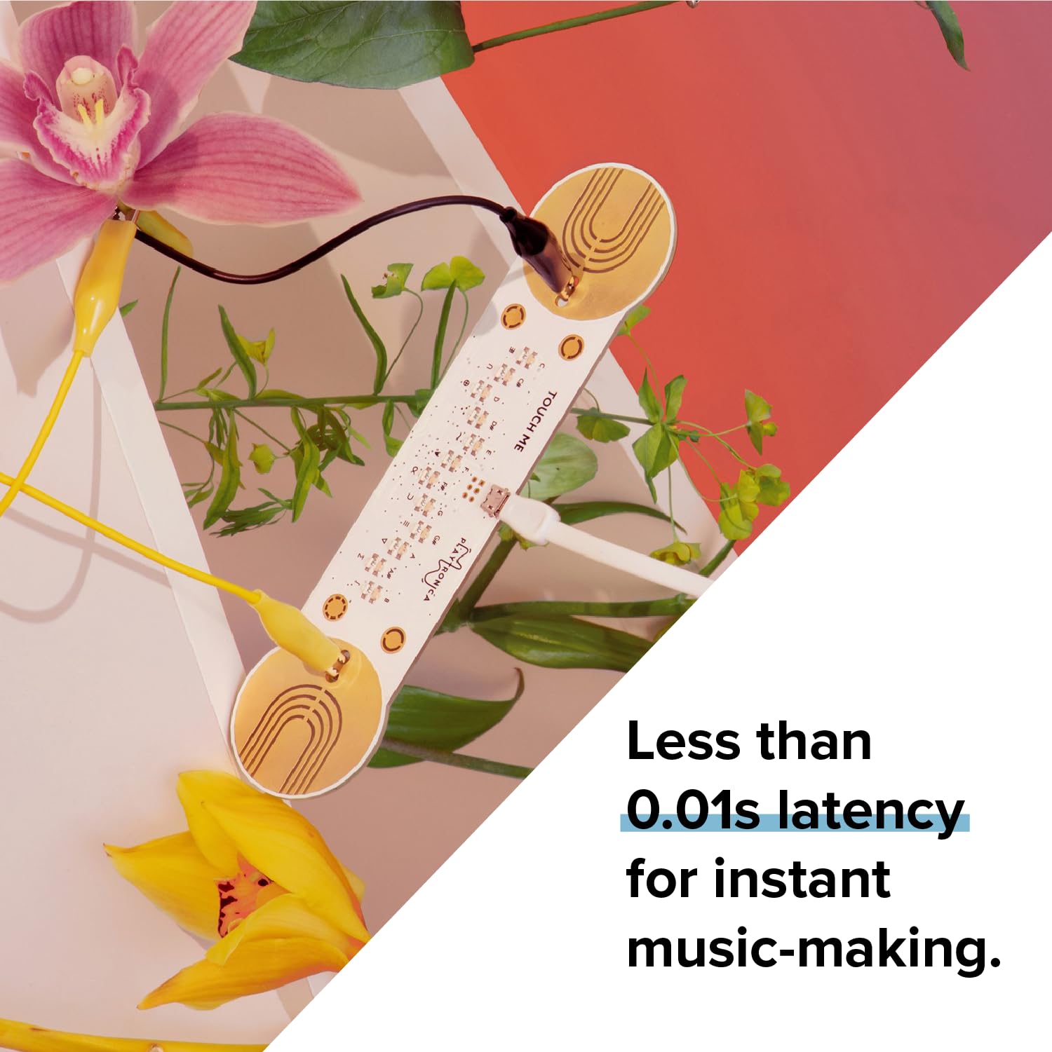 Instrumento Musical Driver MIDI TouchMe El Que Convierte Piel Agua o Flores en Sonido