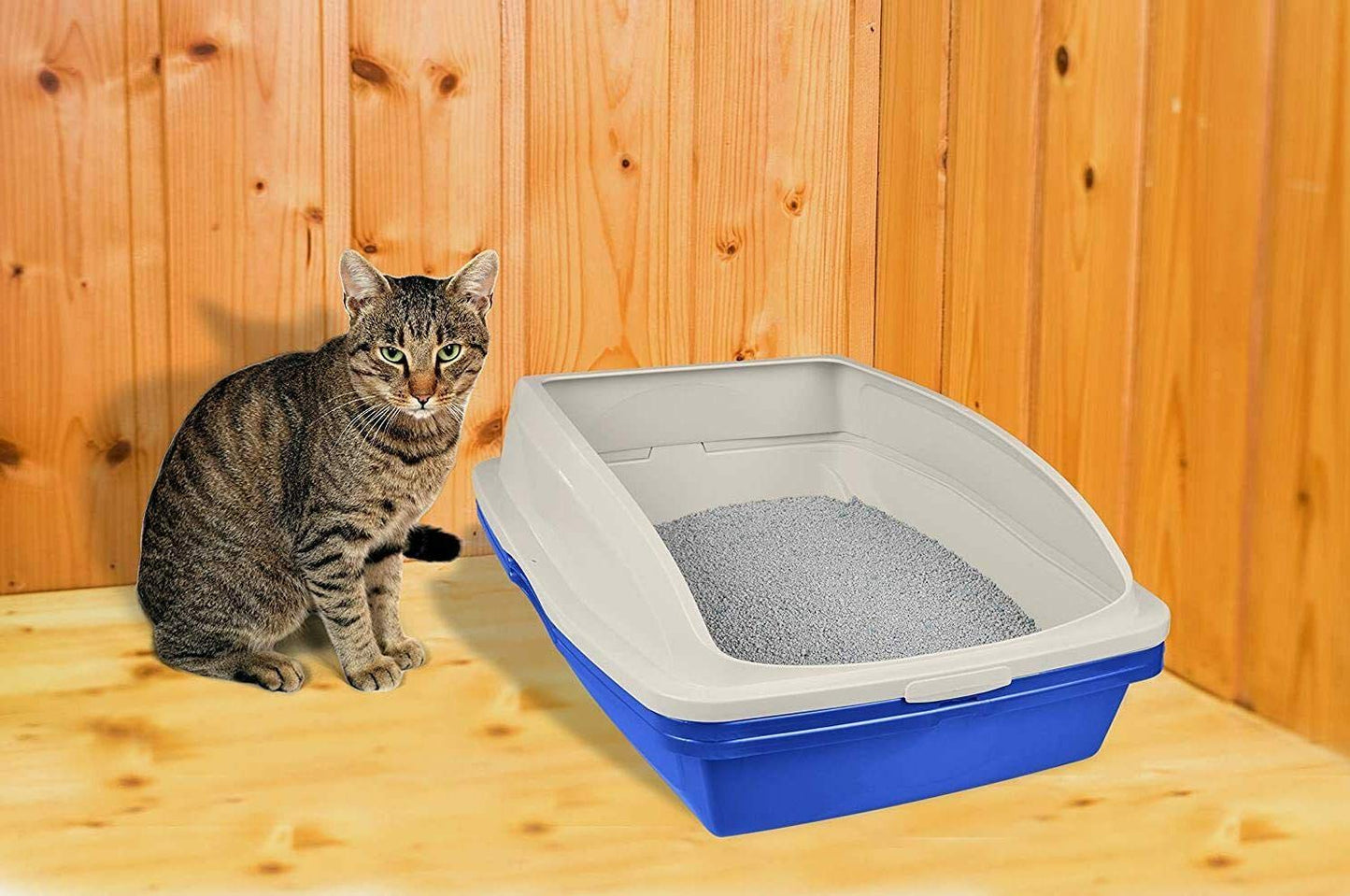 Caja de Arena Van Ness Azul Gris con Marco para Gatos