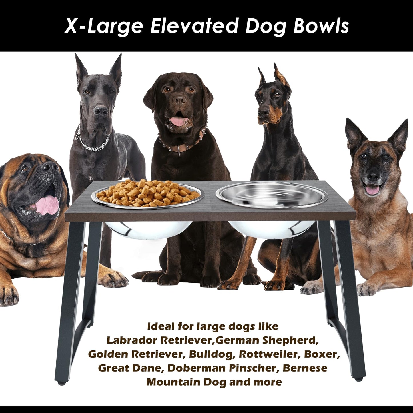 Cuencos Elevados TIDANT Acero Inoxidable Extra Grandes para Perros