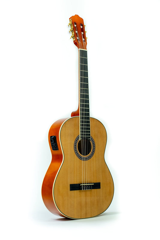 Guitarra Electroacústica Deviser L310 Profesional, Con Funda