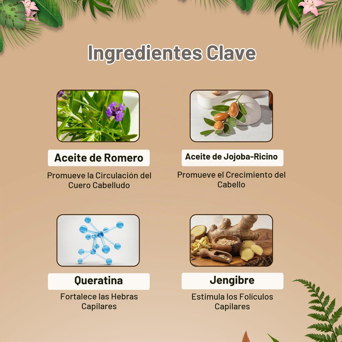Shampoo y Acondicionador Engrosador con Extracto de Jengibre Herbishh – Kit para Hombres y Mujeres, Estimula el Crecimiento y Engrosamiento del Cabello, Sin Sulfatos ni Parabenos, Todo Tipo de Cabello