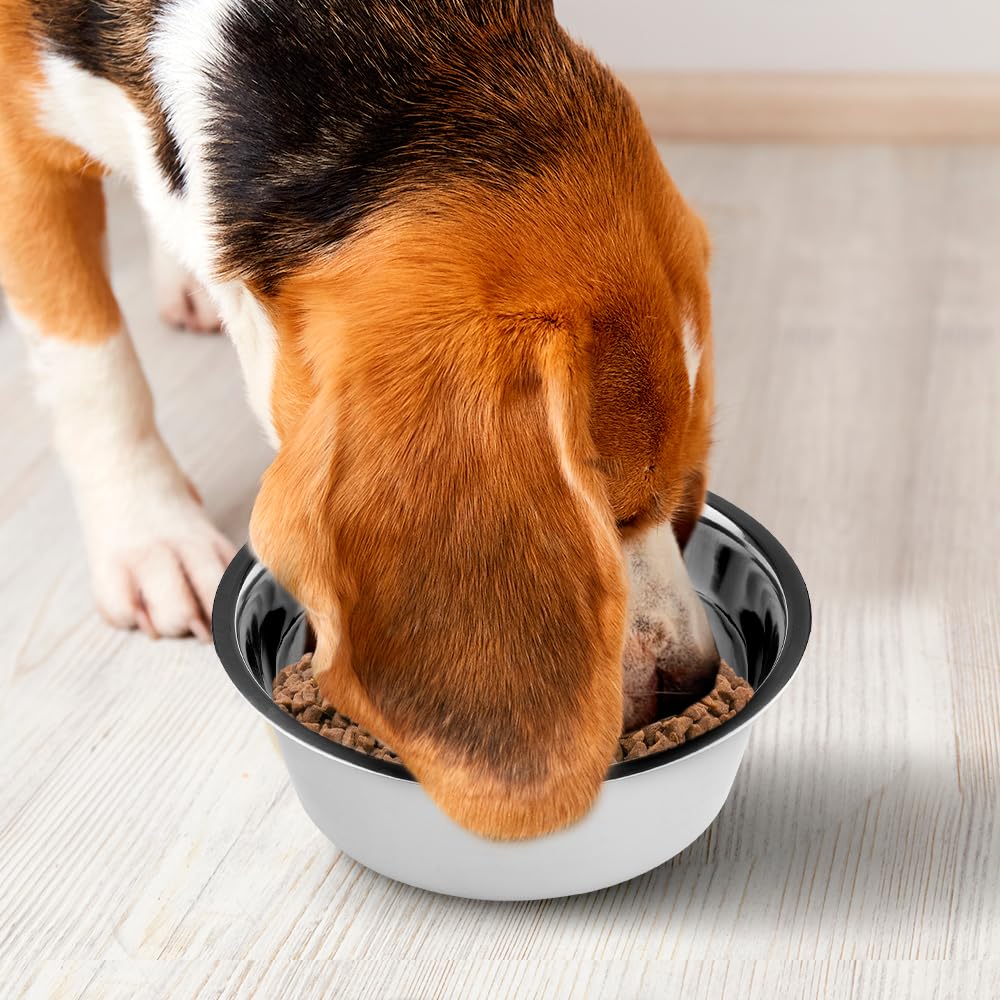 Fancy Pets Plato de Acero Inoxidable Antiderrapante para Perro con 96 Onzas o 2.7 Kilos