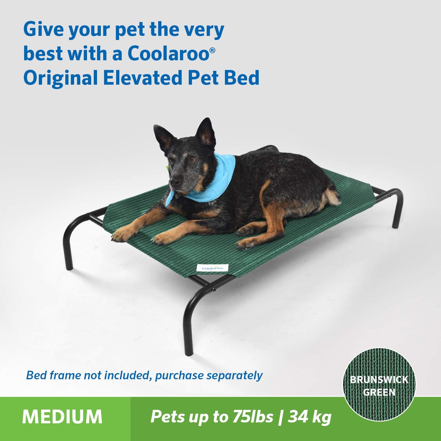 Coolaroo Cubierta de Repuesto, la Original Cama elevada para Mascotas, Brunswick Green, Medium (M)