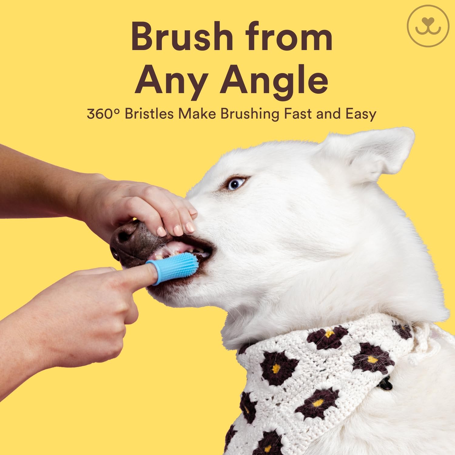 Cepillo de Dientes para Perros Toofers 360º Multicolor Diseño Ergonómico Juego de 4 Unidades