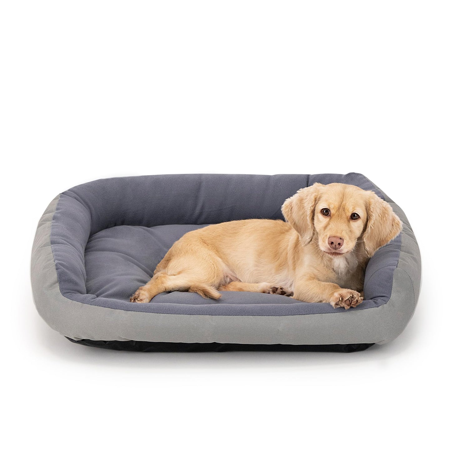 Cama para Perro PETS APPAREL HILLS Gris Mediana Resistente y Confortable