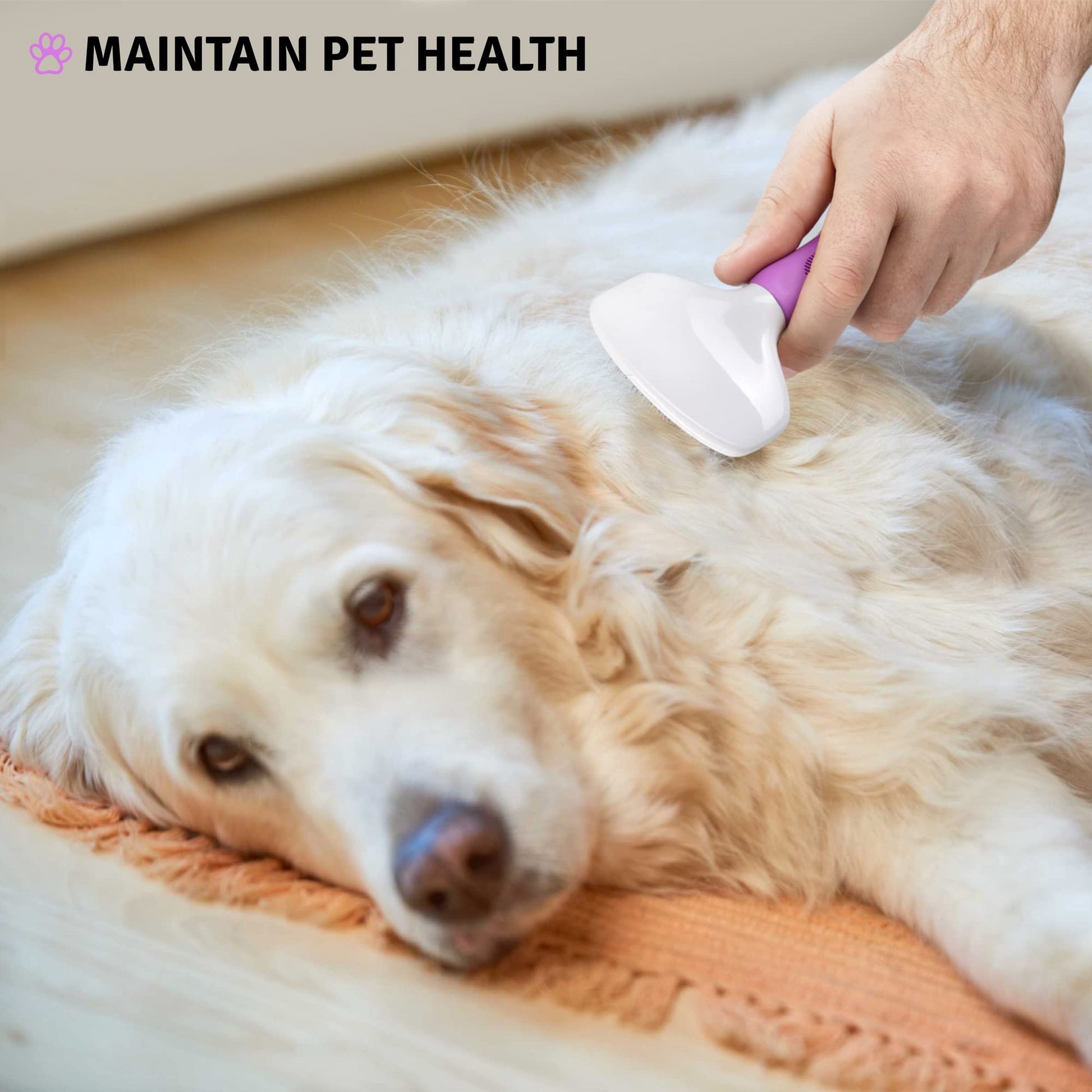 Cepillo Slicker Poodle Pet Mate Suelta Nudos para Peluquería en Perros Gatos Conejos