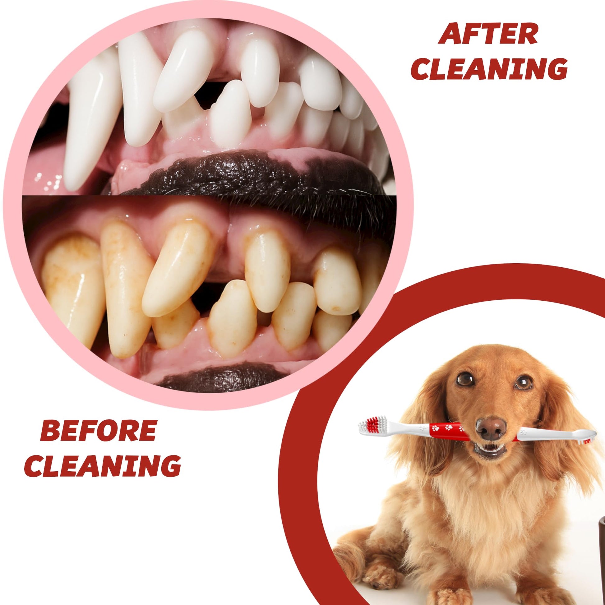 cepillo para polvo de dientes para mascotas para perros, gatos con cerdas suaves, fácil limpieza de dientes y cuidado dental, cepillo para polvo de dientes antideslizante de doble cabeza para perro, elige tu paquete (paquete de 2)