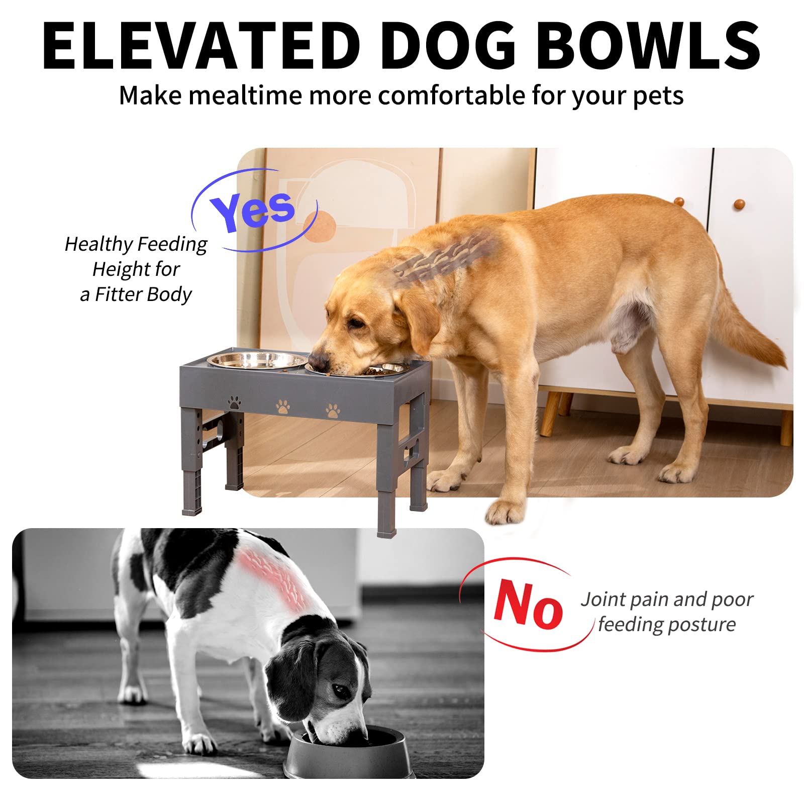 LAKIPETN - Cuencos elevados para perros con 2 cuencos de acero inoxidable para comida para perros, 5 cuencos elevados de altura ajustable que se ajusta a 3.1 pulgadas, 9 pulgadas, 10 pulgadas, 11 pulgadas, 12 pulgadas, plato antideslizante para perros peq