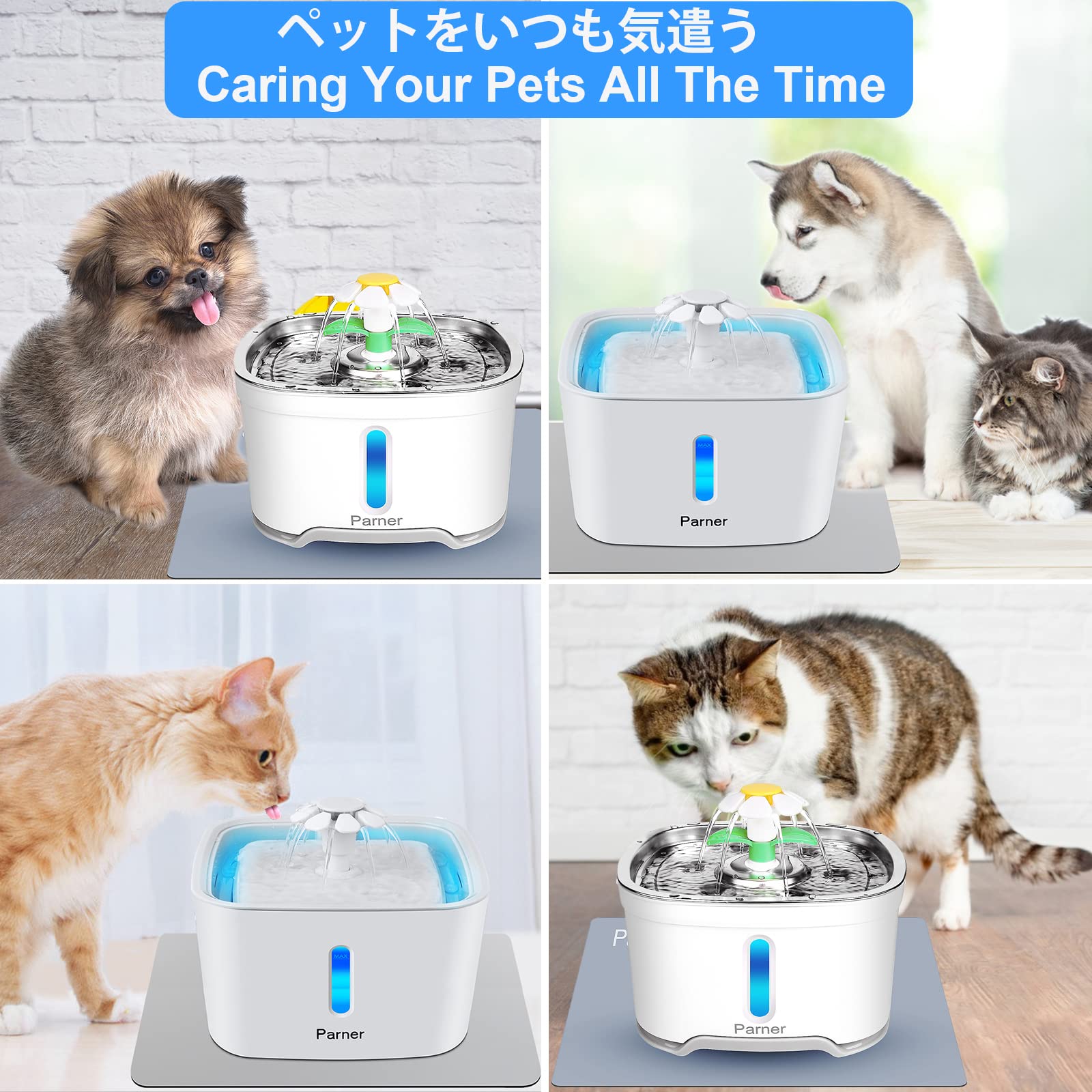 Filtros de Fuente para Gatos, Filtro de Repuesto de Carbono para Fuente de Flores para Gatos y Perros,Paquete de 8