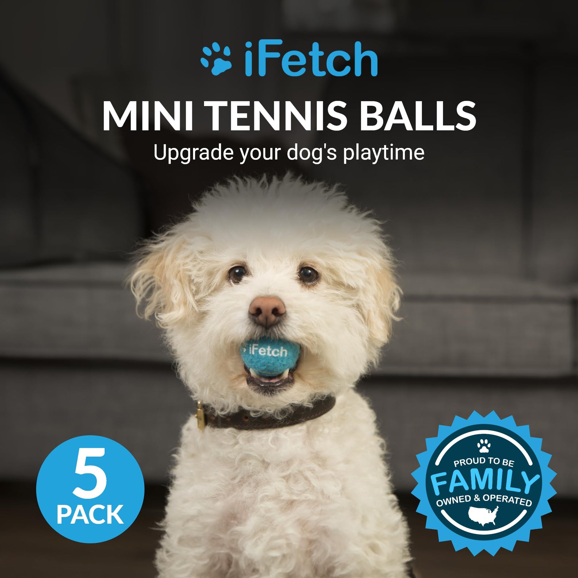 iFetch Mini Pelotas de Tenis, pequeño