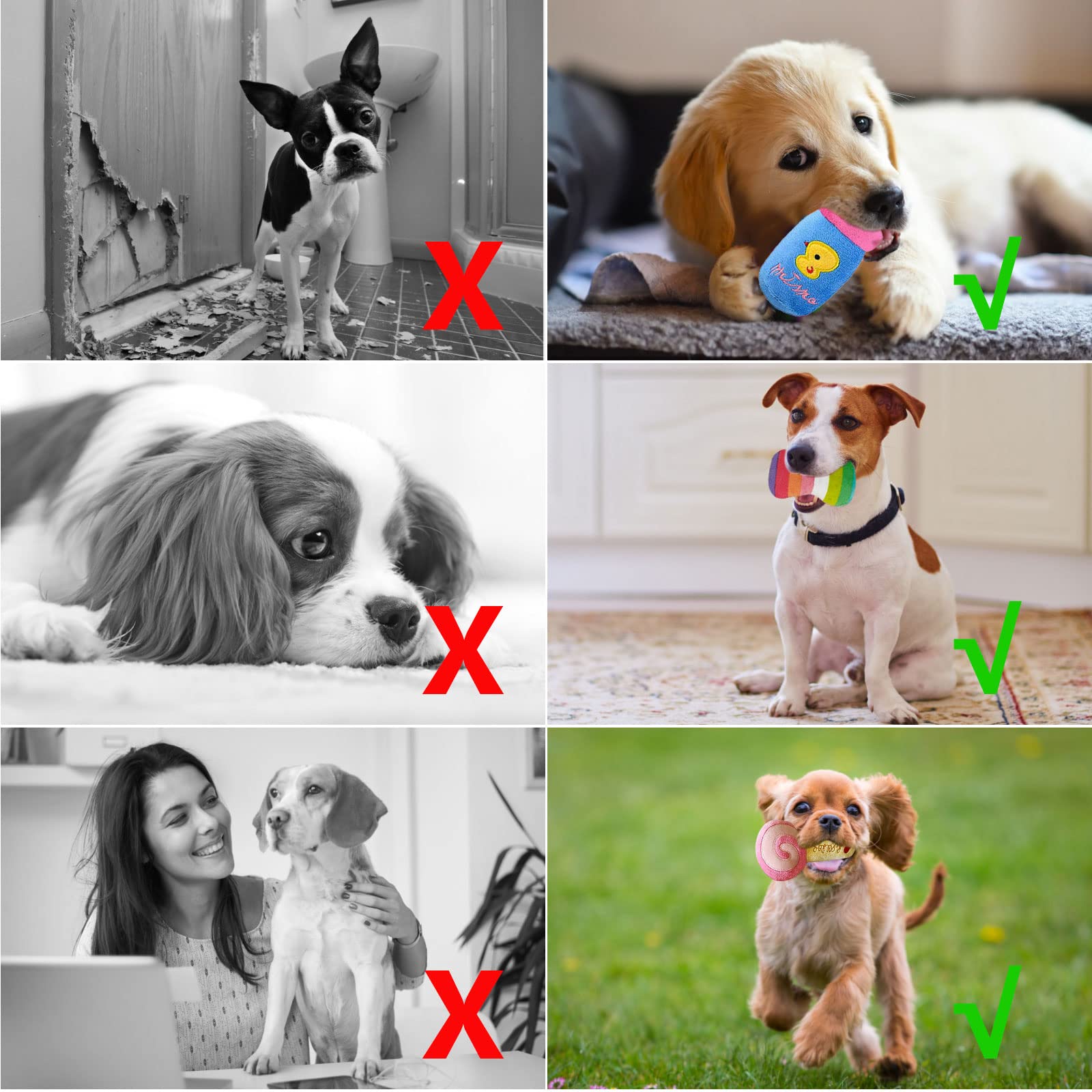 DYD Juguetes para Perros, 10 Juguetes Interactivos para Perros Pequeños y Mediano, Pequeños Juguete Perro Cachorro,Juguetes de Peluche para Mascotas