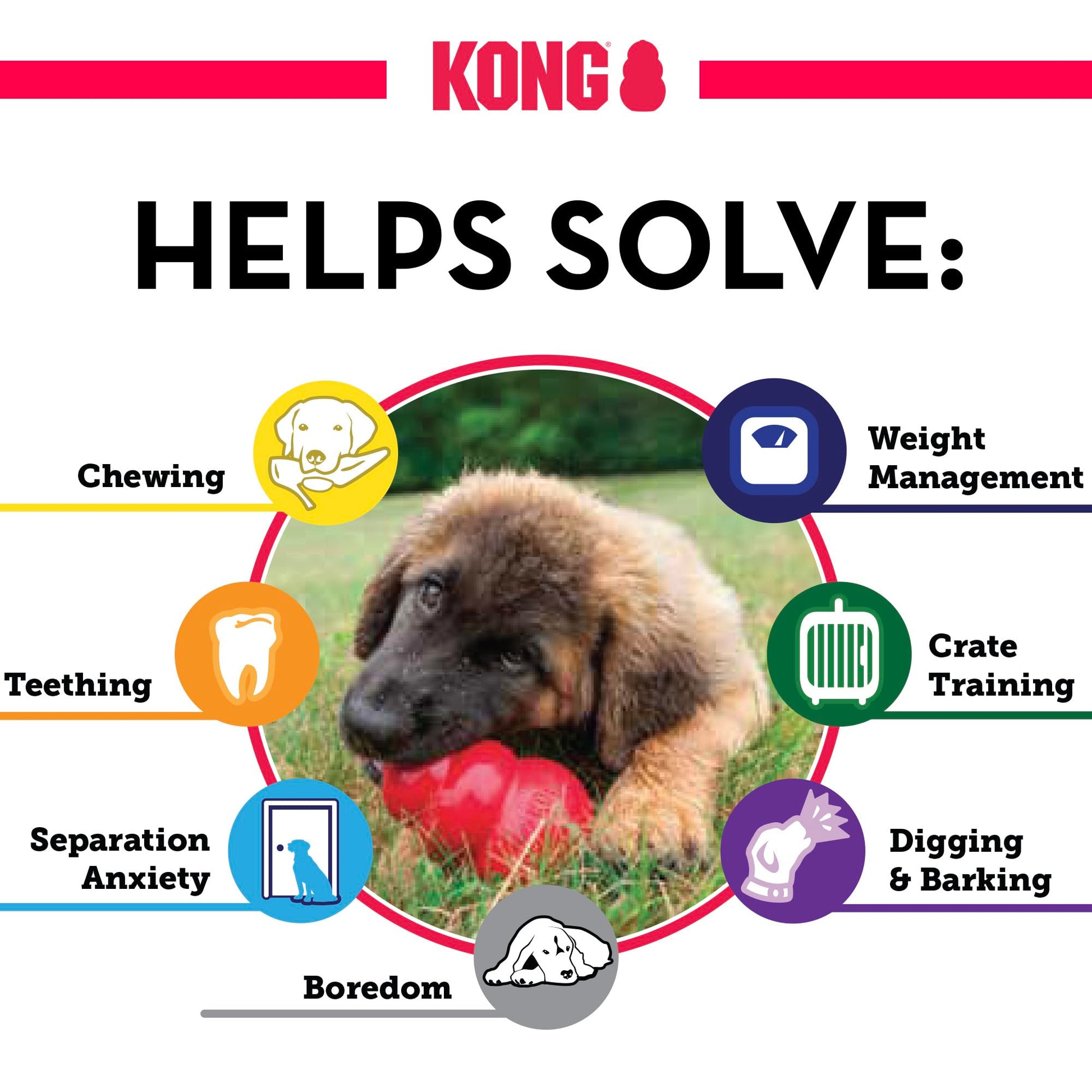 Kong Senior Dog Toy, Large, Purple