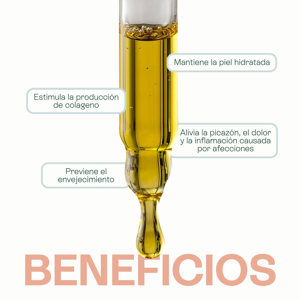 Lúdika | Aceite de Caléndula 50 ml | Calma Piel Sensible y Reactiva | Cicatrizante Antiinflamatorio | Antiacné Antioxidante | para Rostro Cuerpo Cabello y Masaje