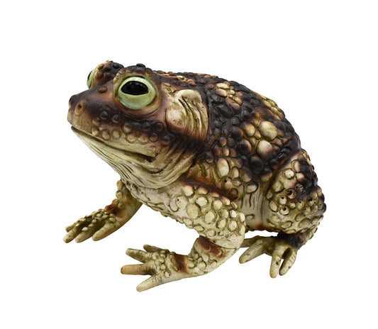 Nicky Bigs Novelties Giant Rubber Toad Prop Decoration, Multi, 25cm Long