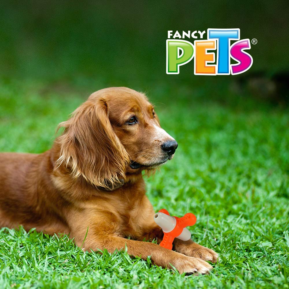 Juguete Dental Fancy Pets Matatena con Sonido para Perro
