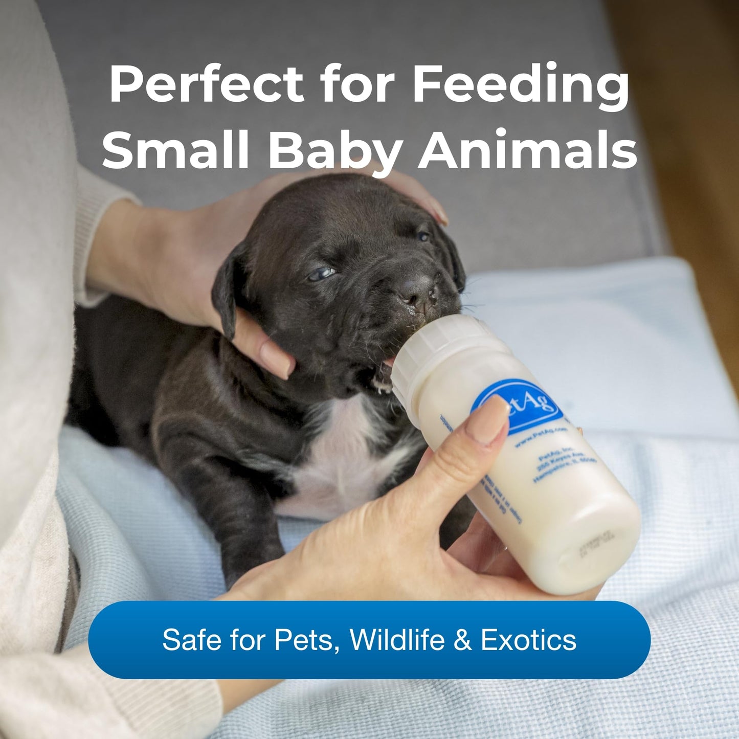PetAg Display de Mamilas 4Oz 6 Pzs