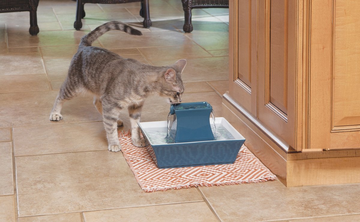 Fuente para Mascotas PetSafe Drinkwell Pagoda Azul con Múltiples Ángulos para Beber y Filtros Incluidos para Perros