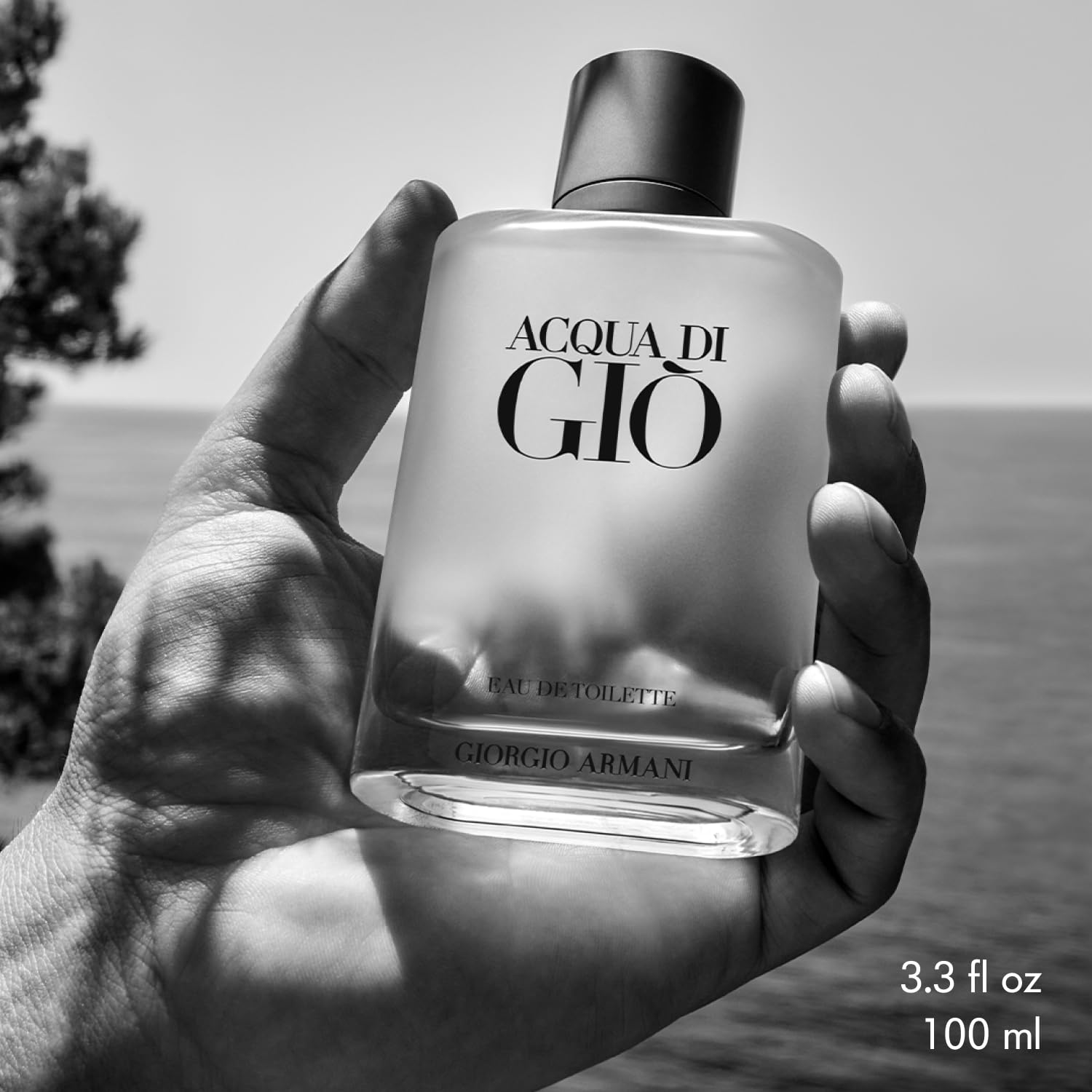GIORGIO ARMANI - De Acqua Di Gio para hombre. Rocíe 3.4 onzas