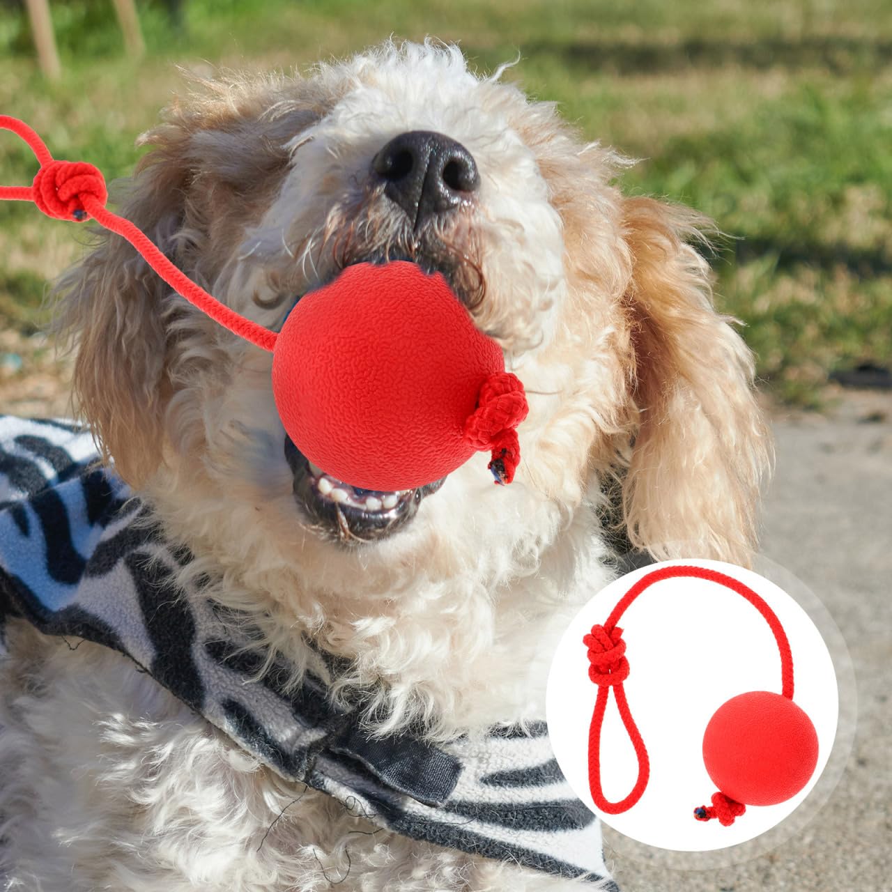 Ipetboom Cuerda y Bolas para Perros - Equipo De Entrenamiento De Agilidad, Tira y Afloja, Deportes y Pelota De Entrenamiento