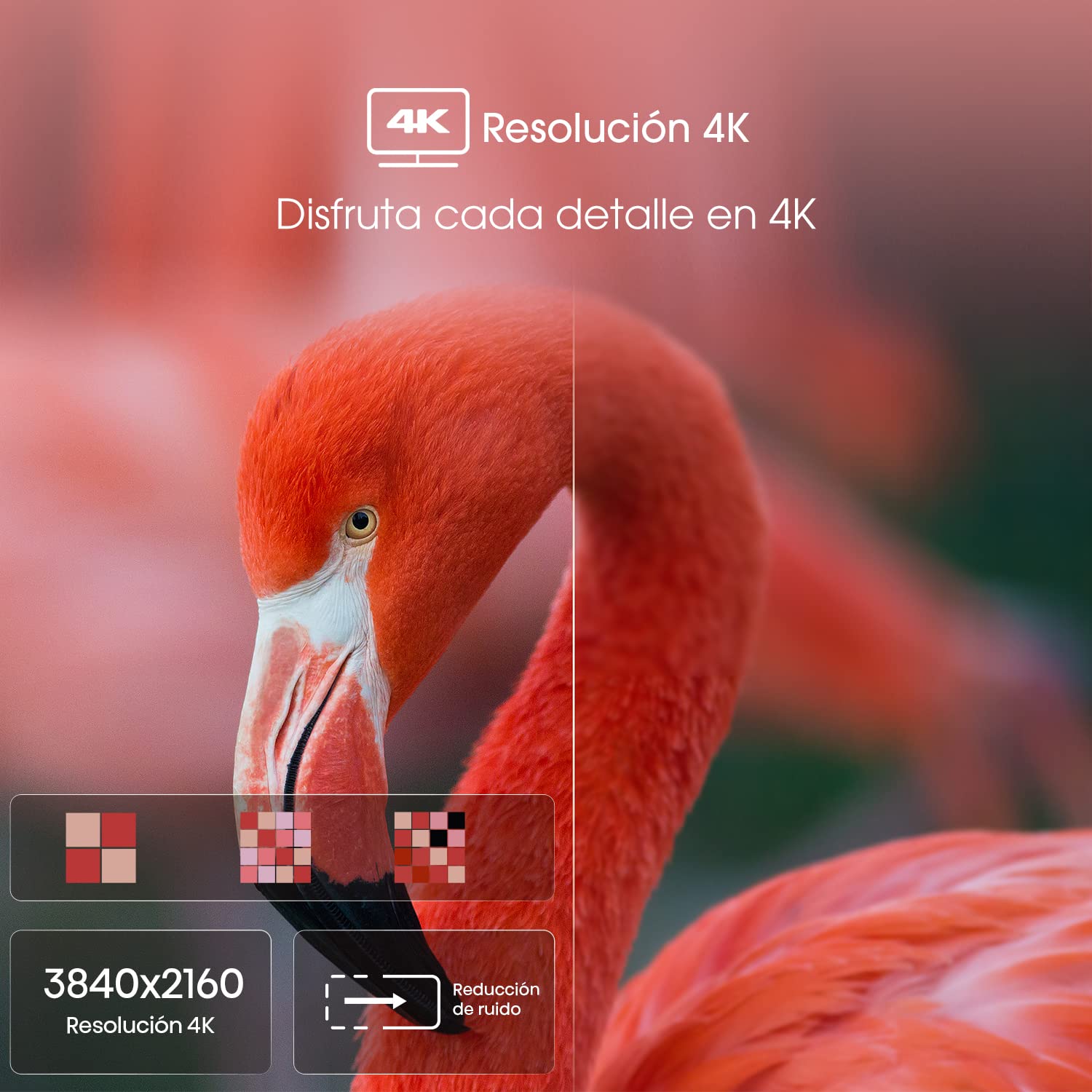 Hisense Pantalla 65" 4K Smart TV LED 65A6H Google TV (2022) (Reacondicionado)
