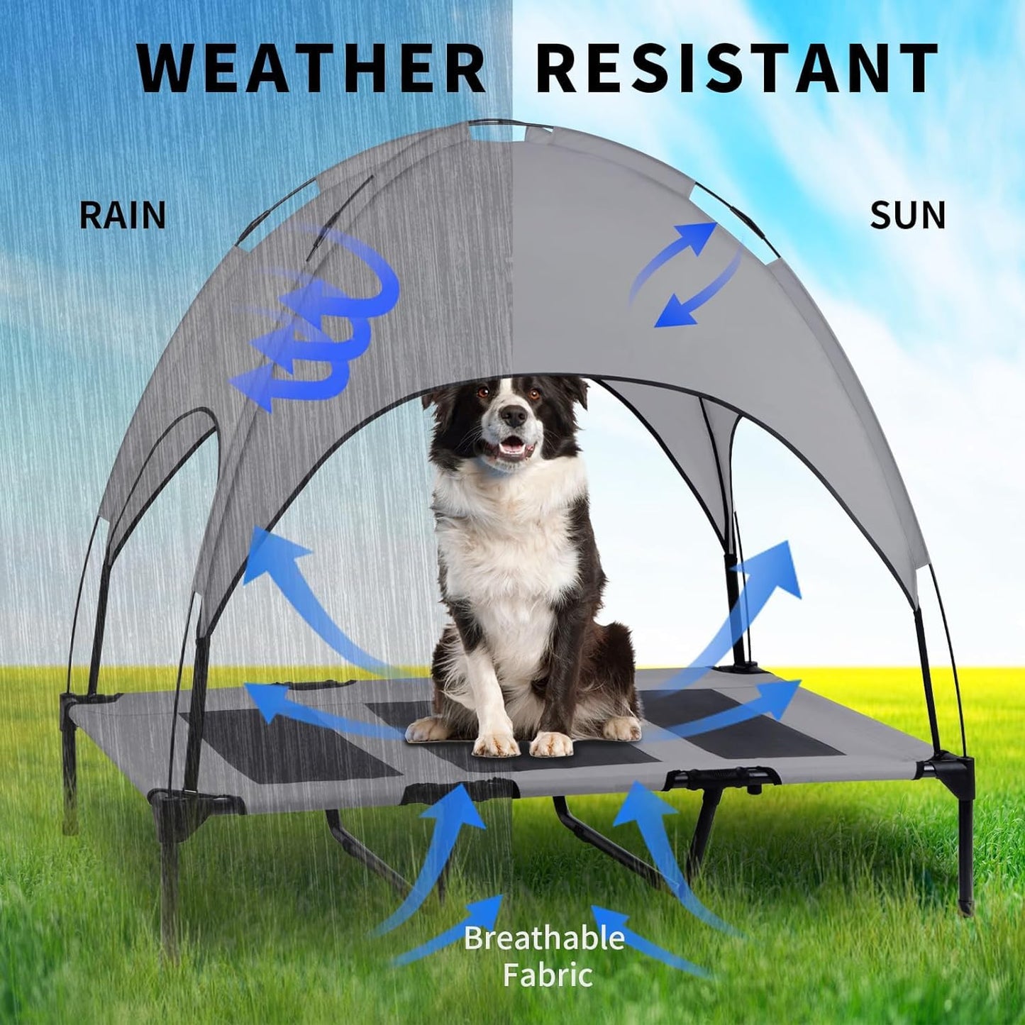 Cama Elevada de Perro RongPin Portátil Oxford con Canopy Extraíble y Bolso en X-Large para Mascotas de Camping