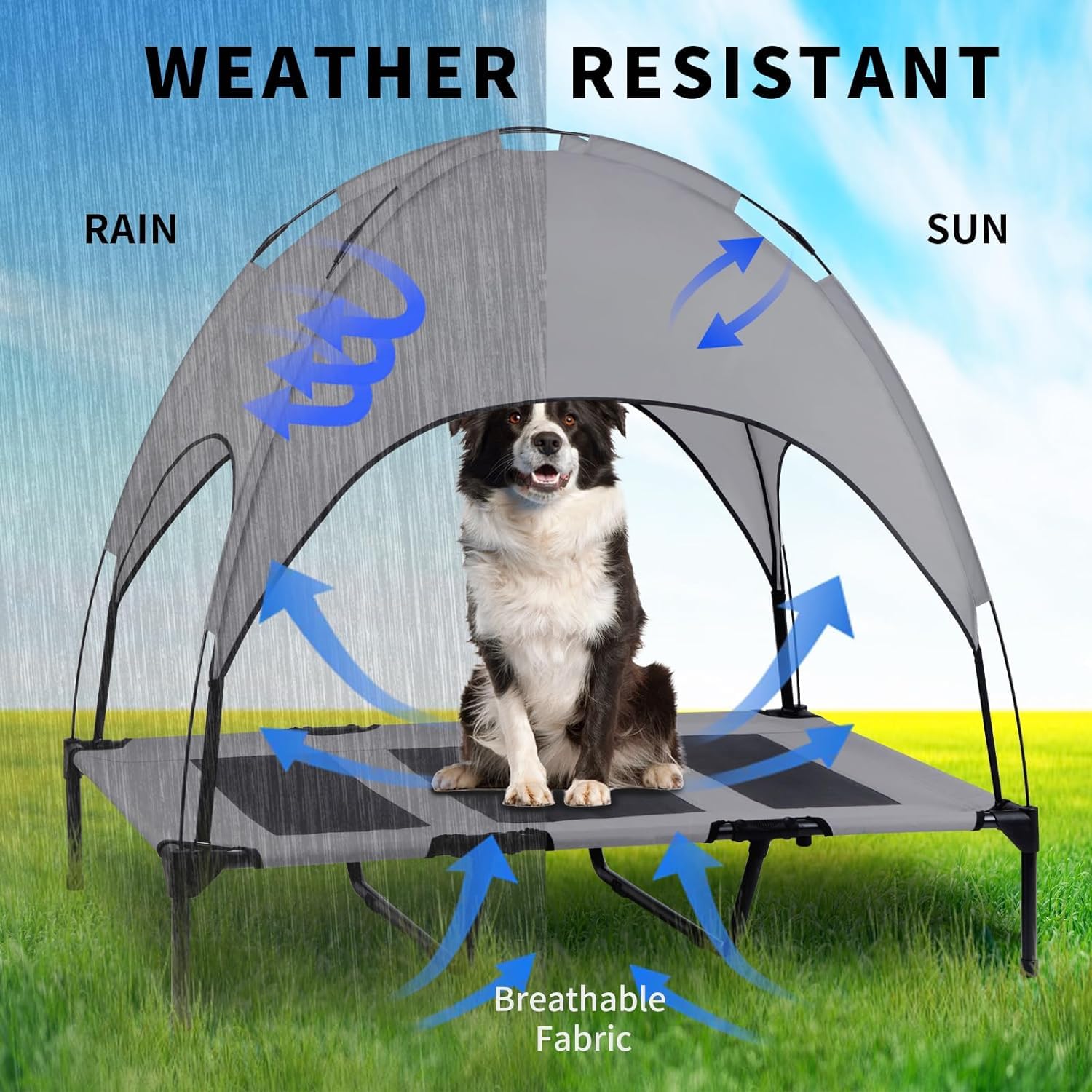 Cama Elevada de Perro RongPin Portátil Oxford con Canopy Extraíble y Bolso en X-Large para Mascotas de Camping