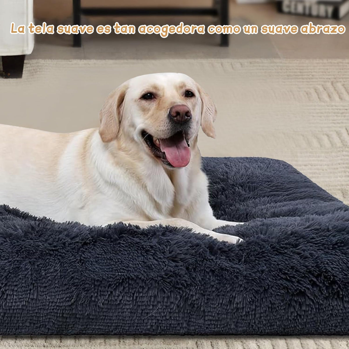 Cama Ortopédica para Perro Muja Grande Almohadillas Extraíbles Antideslizante