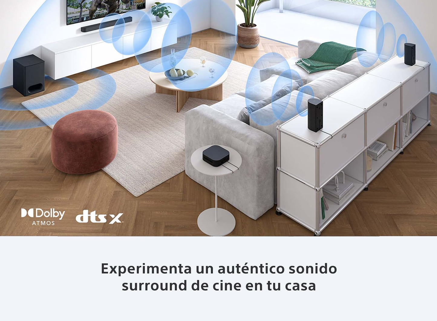 Sony BRAVIA Theatre System 6, 5.1ch con Subwoofer y Compatible Dolby Atmos y DTS-X 1000 W I HT-S60