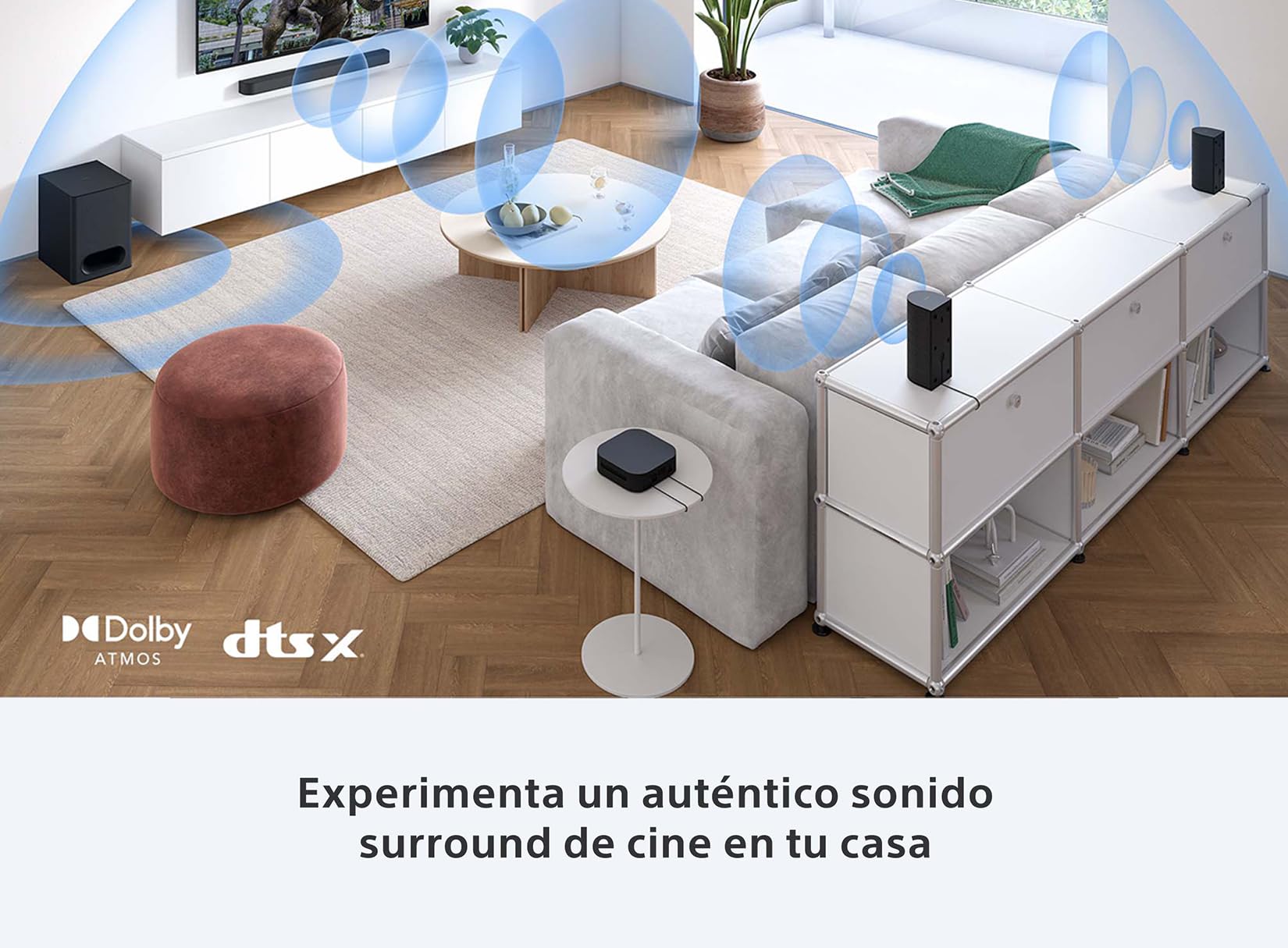 Sony BRAVIA Theatre System 6, 5.1ch con Subwoofer y Compatible Dolby Atmos y DTS-X 1000 W I HT-S60