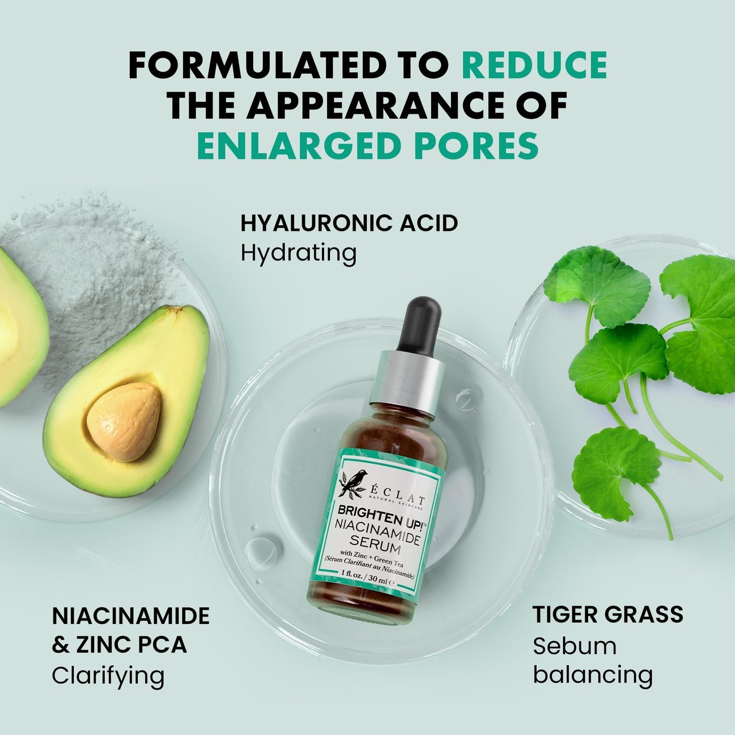 Suero Antienvejecimiento de Niacinamida (10%) con Zinc y Ácido Hialurónico - Reduce Arrugas, Manchas y Hiperpigmentación - Vegano y Aprobado por Dermatólogos