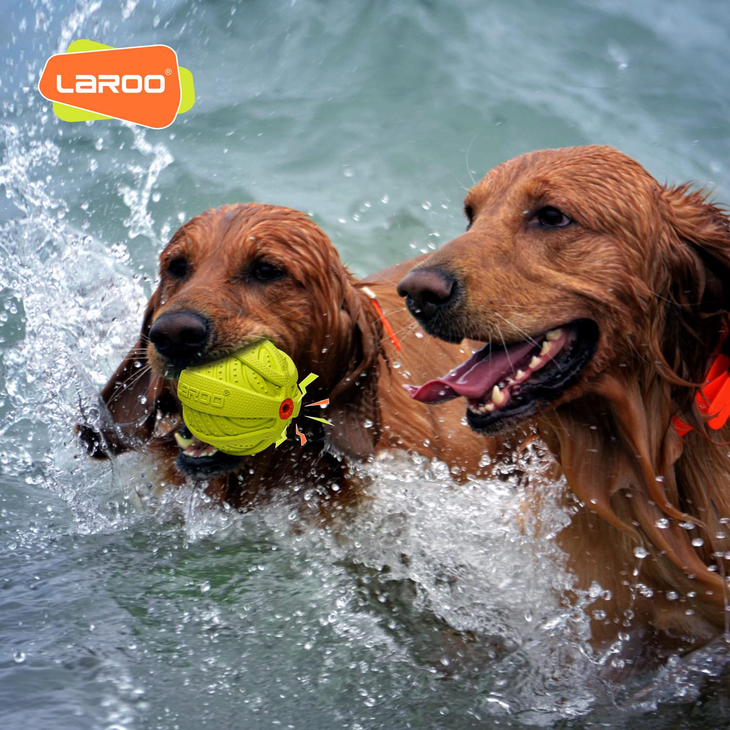 Juguete Interactivo para Perros LaRoo Chirriante Resistente