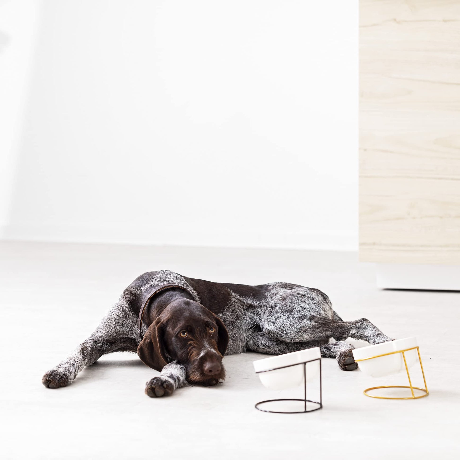 Comedero y Bebedero Navaris Acero Inoxidable Elevados para Mascotas perros gatos