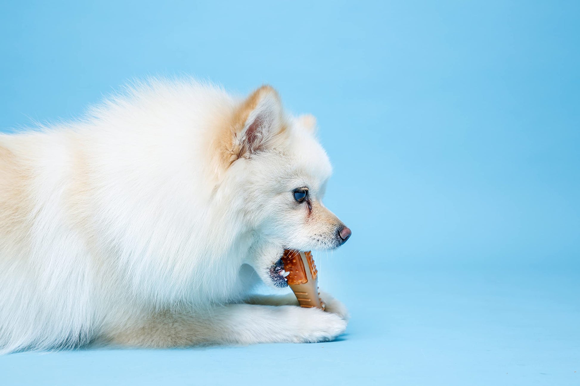 Hartz Chew 'n Clean Chew Toy and Treat en un baqueta de Pollo con Sabor a Barra, pequeño
