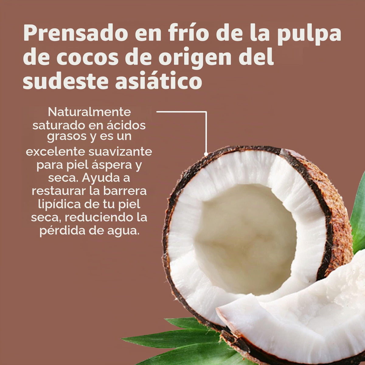 De La Cruz Coconut Oil, No Parabens or Artificial Colors, Packed in USA 2.2 OZ
