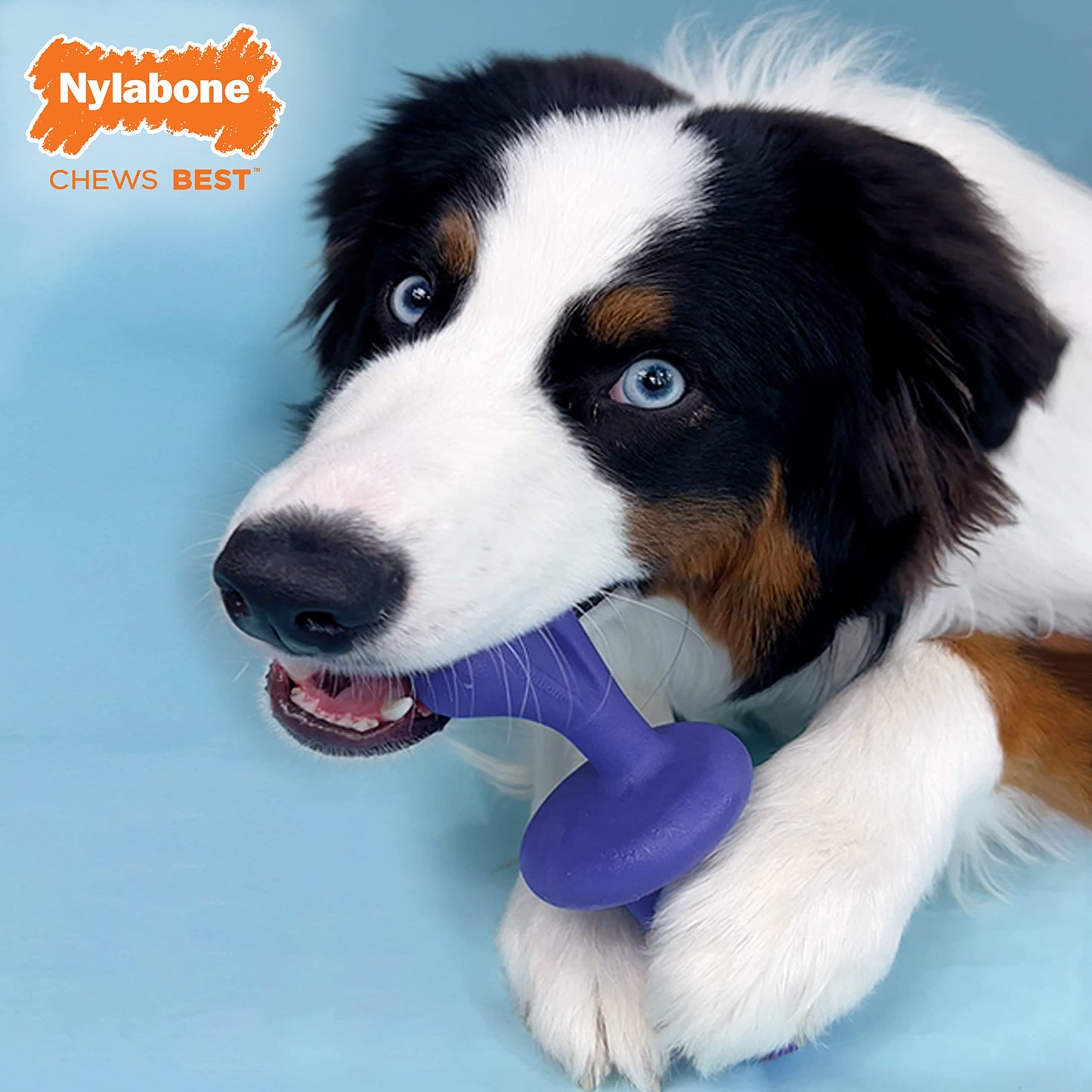 Juguete de Perro Nylabone Sabor Tocino para Masticadores Agresivos Grande Gigante