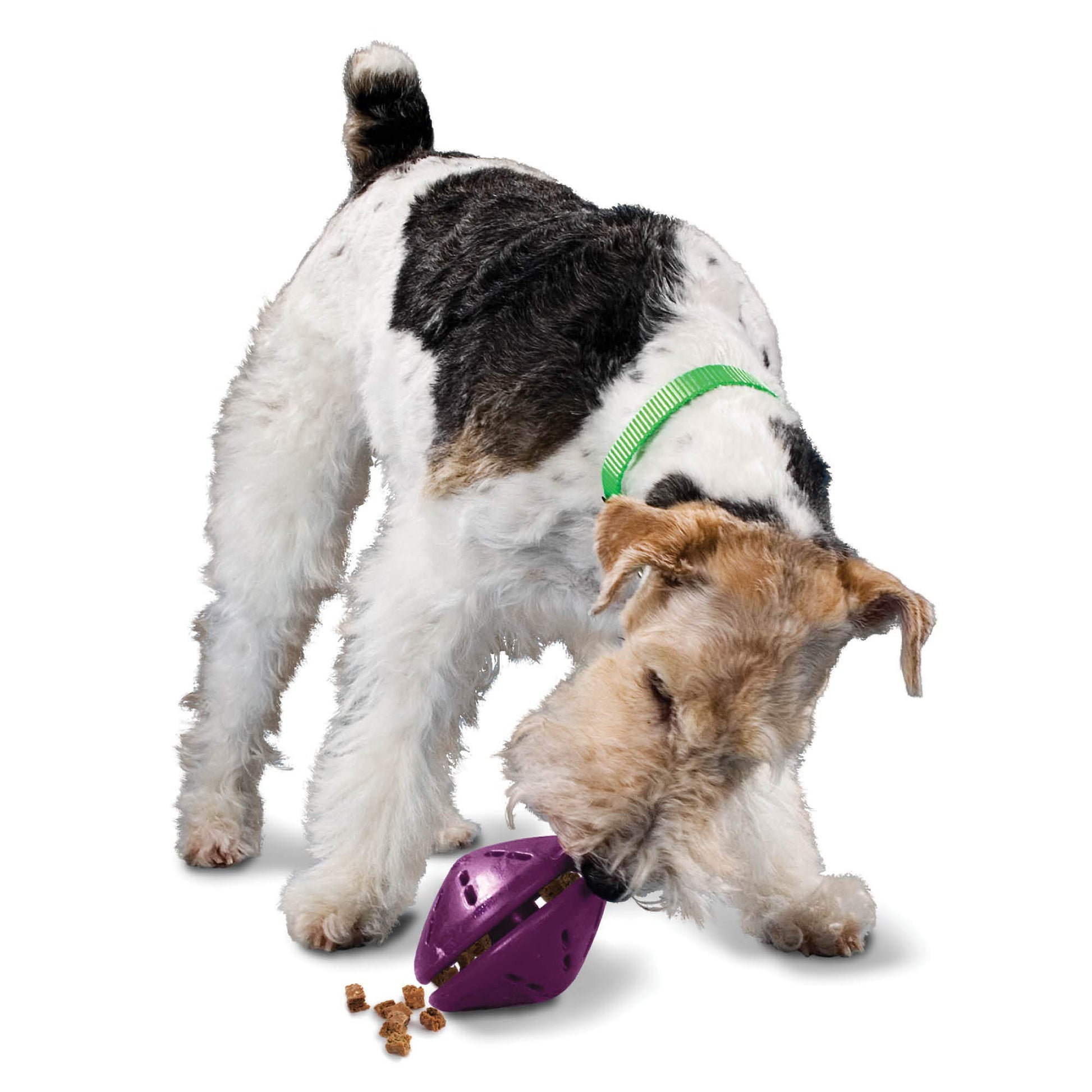 Juguete para Perro PetSafe Busy Buddy Twist n Treat Mediano